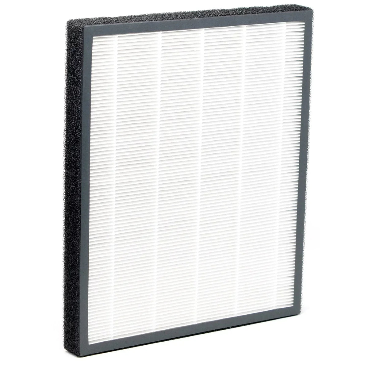 NaturoPure HEPA / Activated Carbon Filter HF 310A (XJ-3100A)