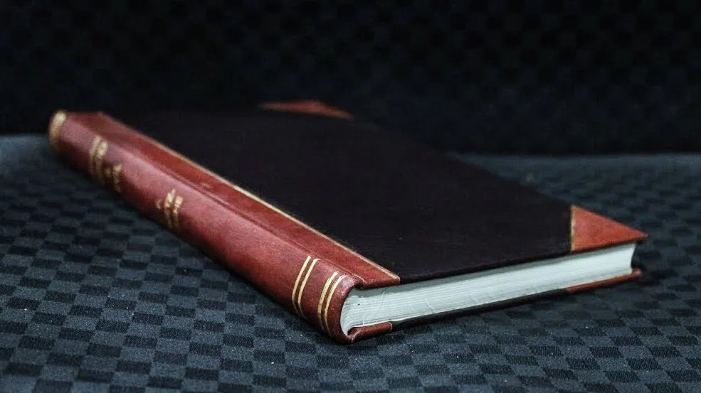 The White River raft : the largely true story of a logging trip into the flooded forests of Arkansas, followed by an eventful voyage down the Mississippi / by Lewis B. Miller (1910) [Leatherbound]