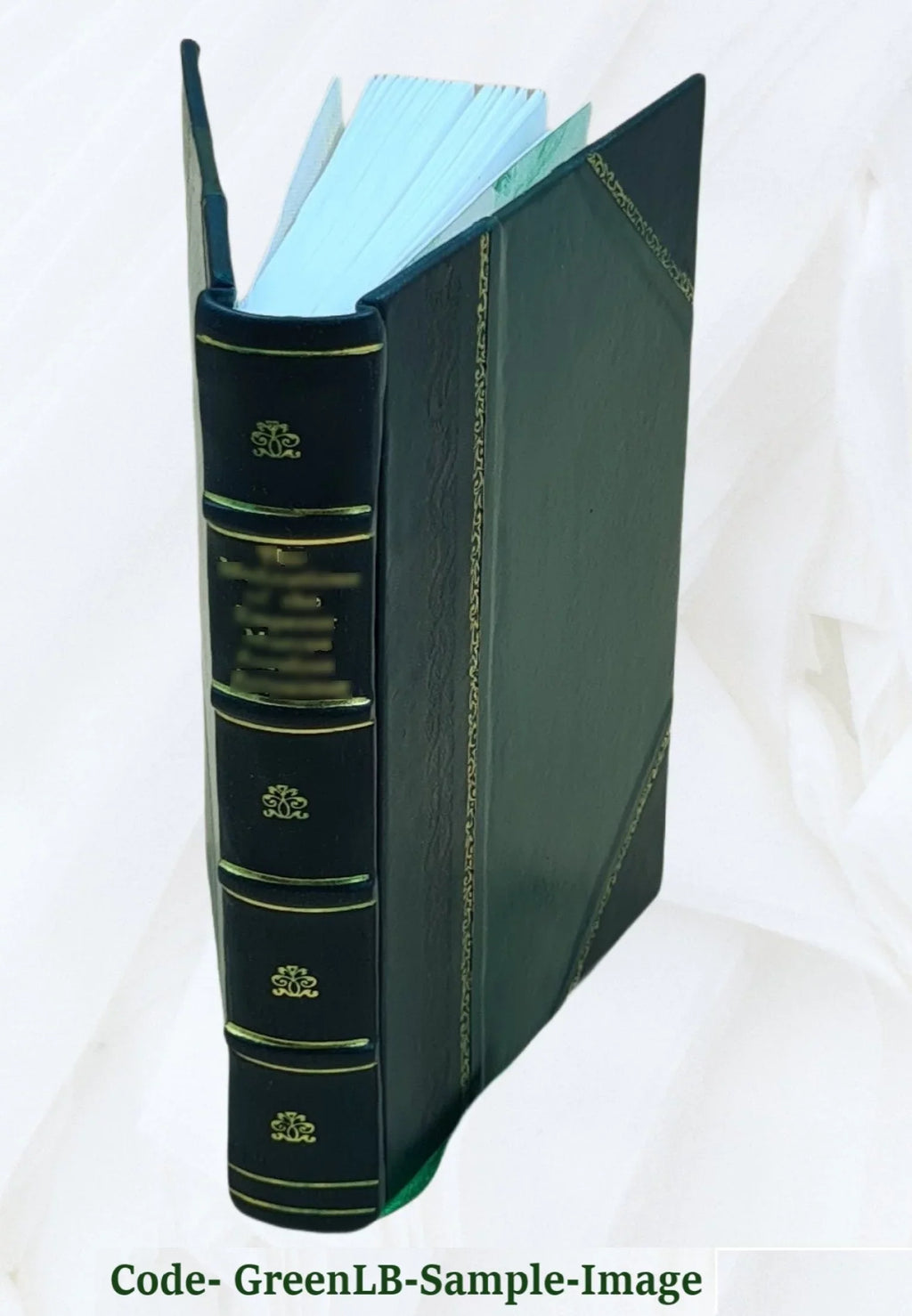 Continuacion de la Historia general de España del P. Juan de Mariana de la Compañia de Jesus / escrita en latin por el P. Fr. Joseph Manuel Miñana, del Orden de la Santisima Trinidad ; y traducida nue