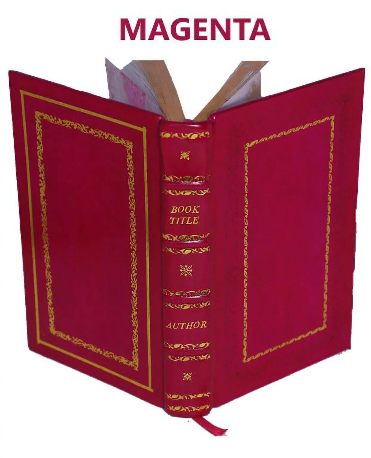 Topografia universale a cittA di Napoli in Campagna Felice e note enciclopediche storiografiche di Niccolo Carletti ... 1776 [Premium Leather Bound]