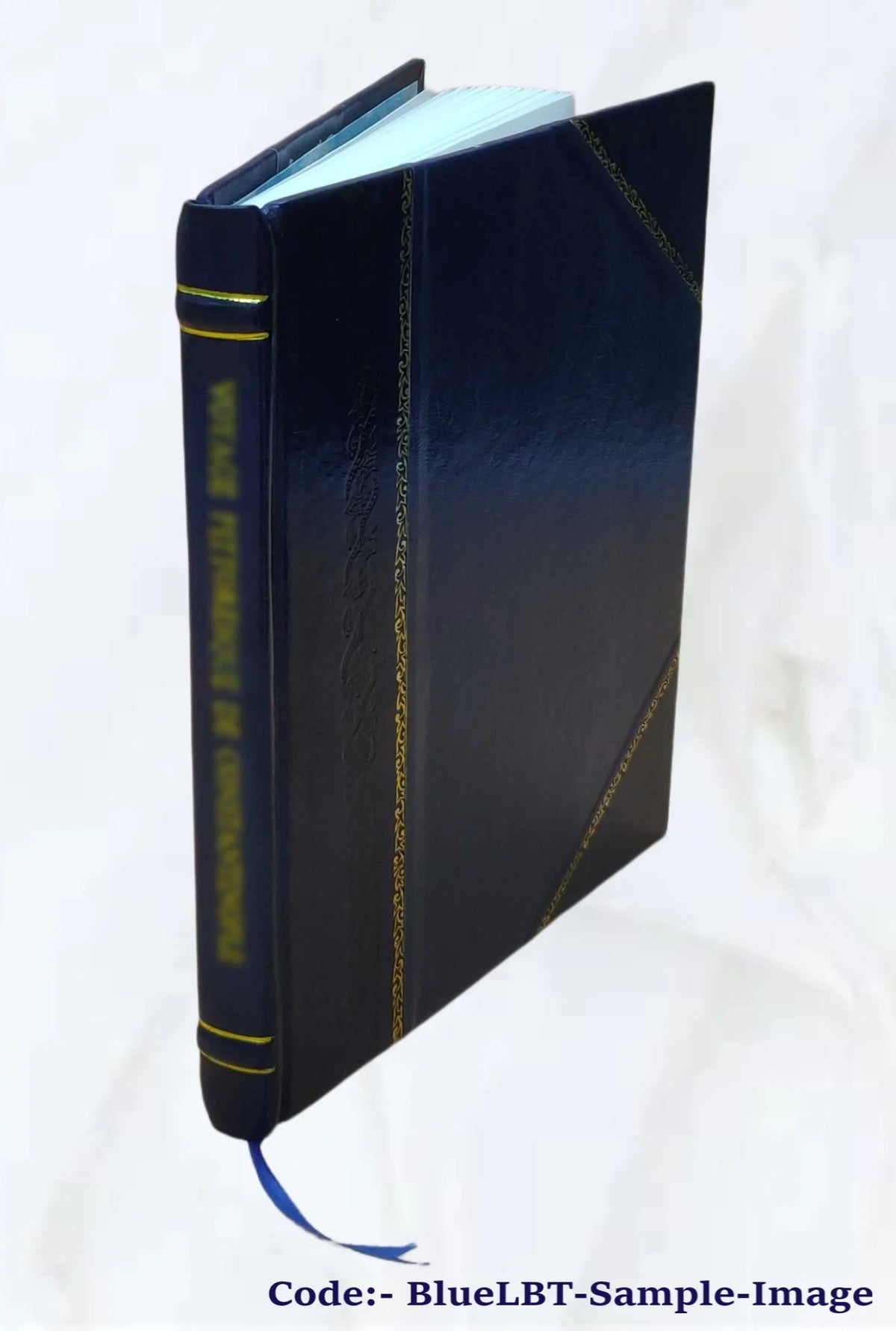 Rogue River National Forest (N.F.), Steamboat Mountain mining operations : environmental impact statement. Volume D 2003 [Leather Bound]