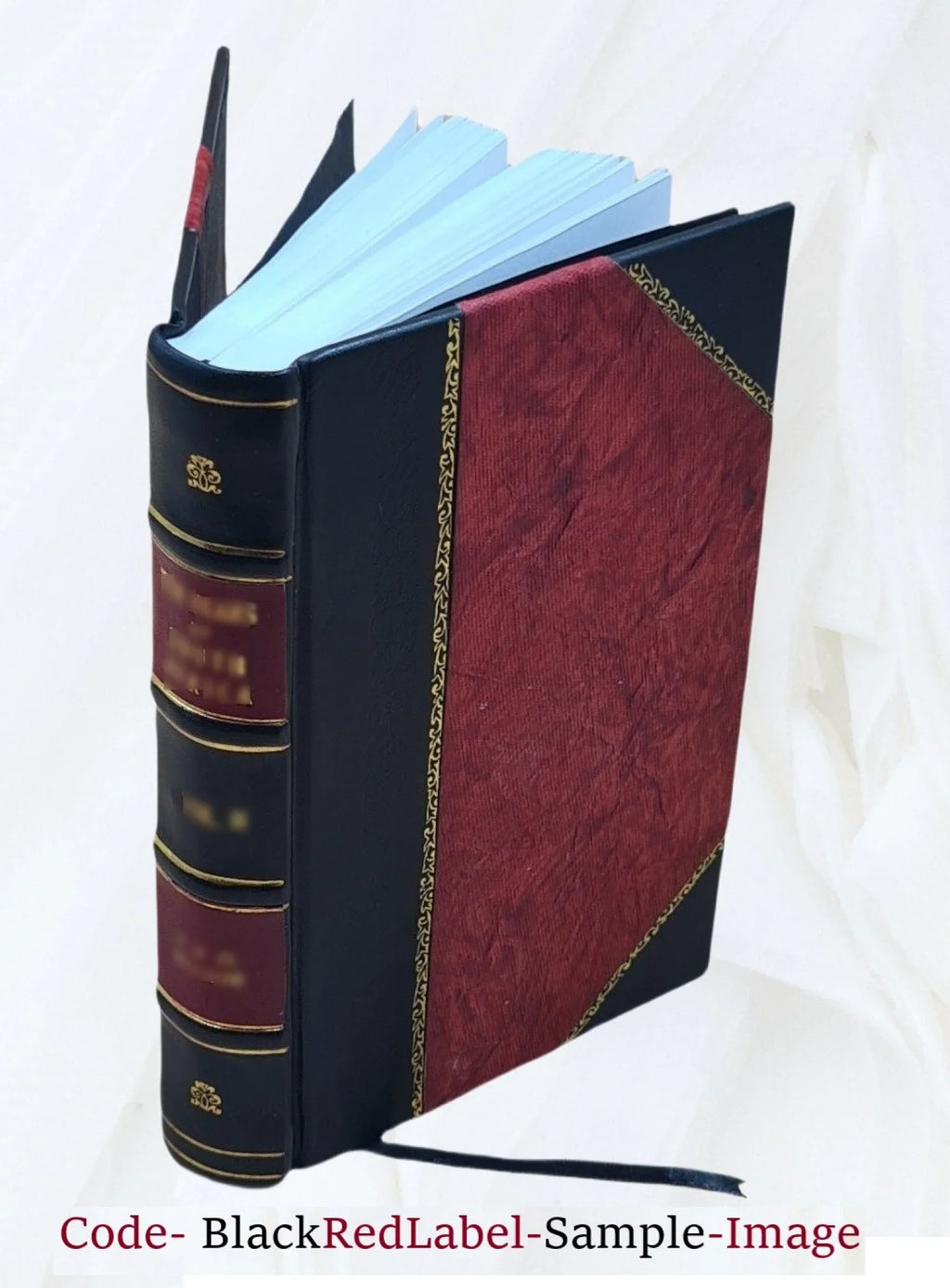 The Sinbad mines : a tale of the Rockies / by Dr. E.F. Eldridge 1905 [Leather Bound]
