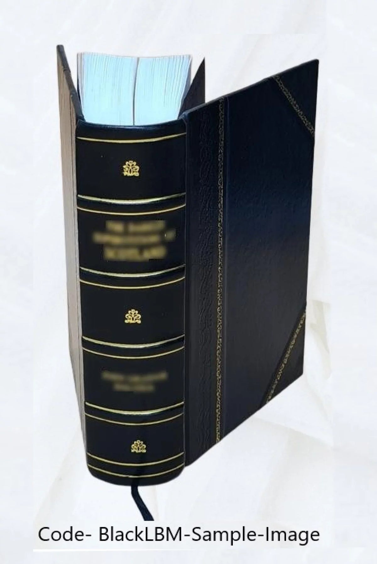 When ghost meets ghost 1914 [Leather Bound]